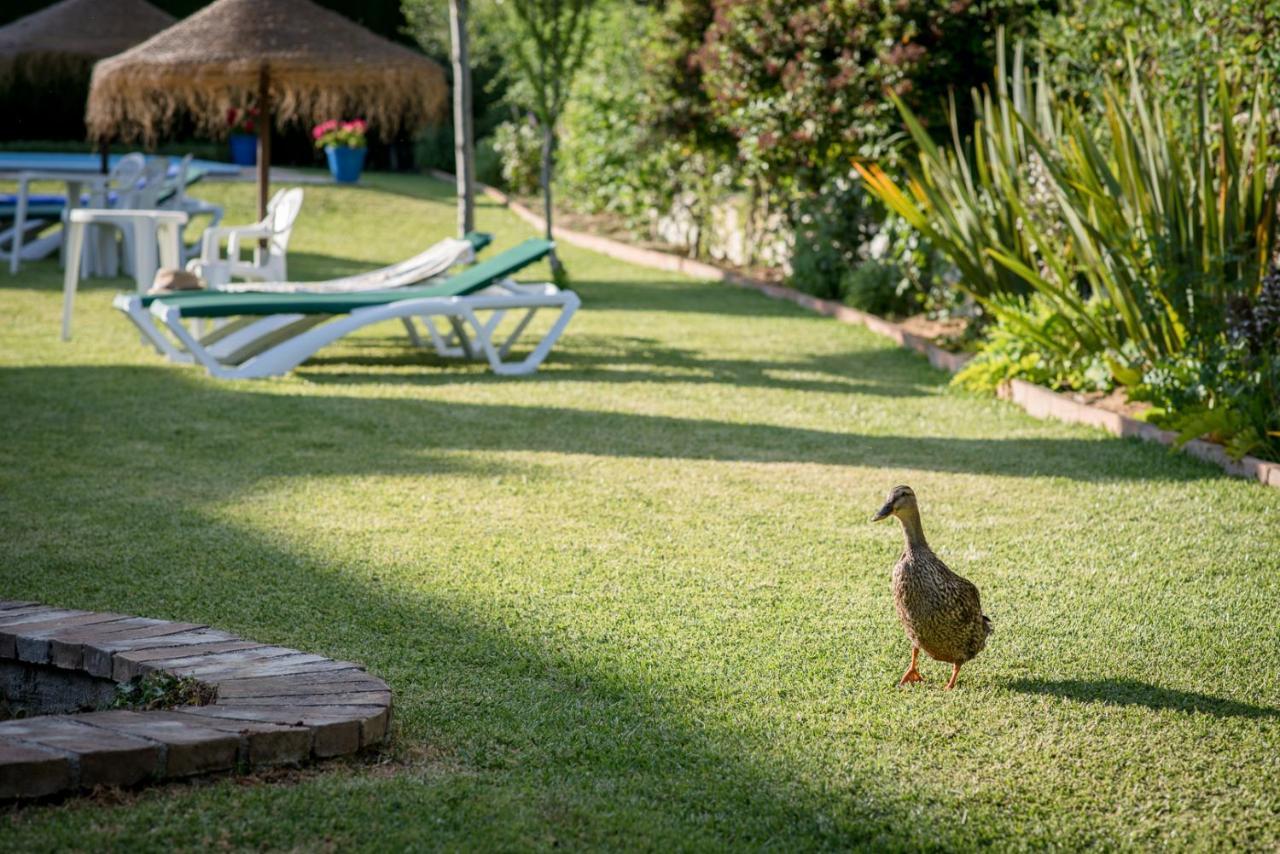 Al Agia - Los Molinos De Padul Pension Buitenkant foto