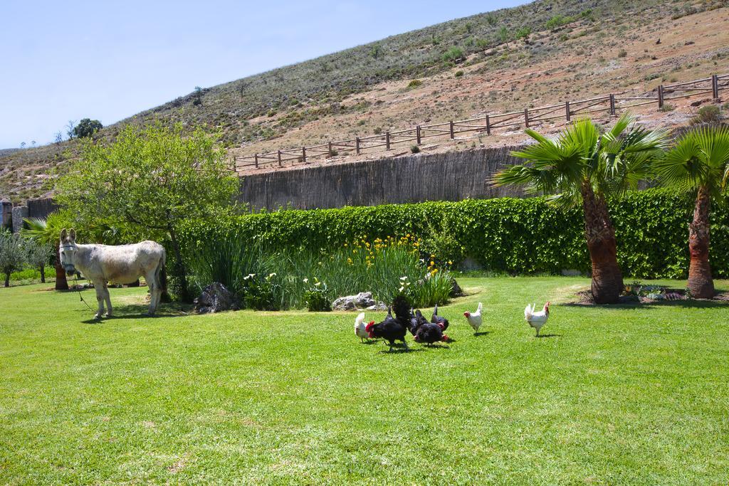 Al Agia - Los Molinos De Padul Pension Buitenkant foto